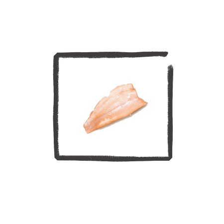 Gerookte forelfilet B