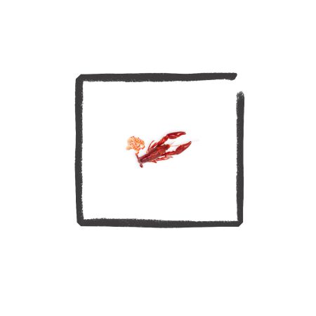 Rivierkreeft