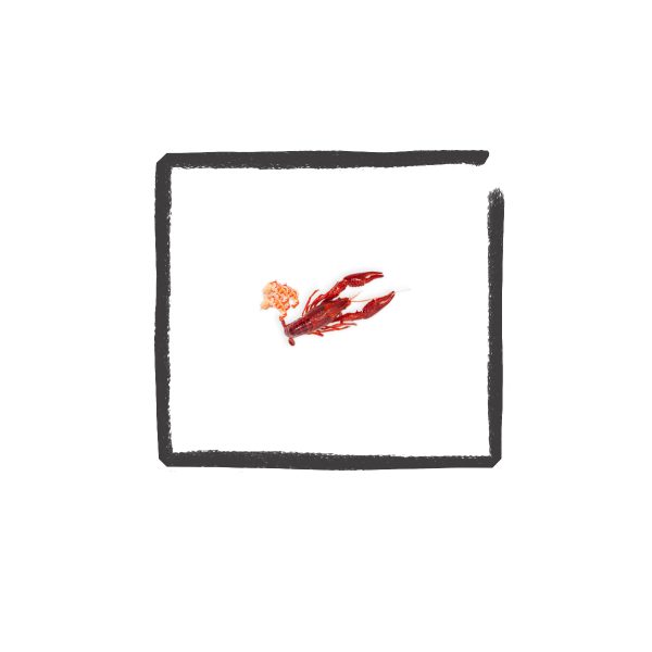 Rivierkreeft
