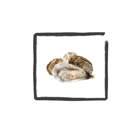 Oesters per 12 stuks