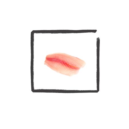 Tilapiafilet