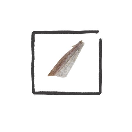 Wijtingfilet