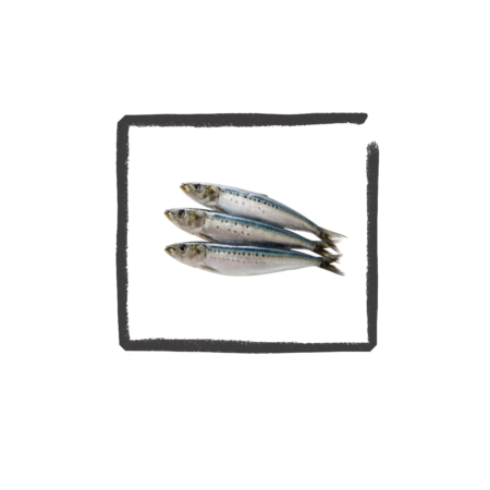 Sardines zak diepvries heel 760 gram