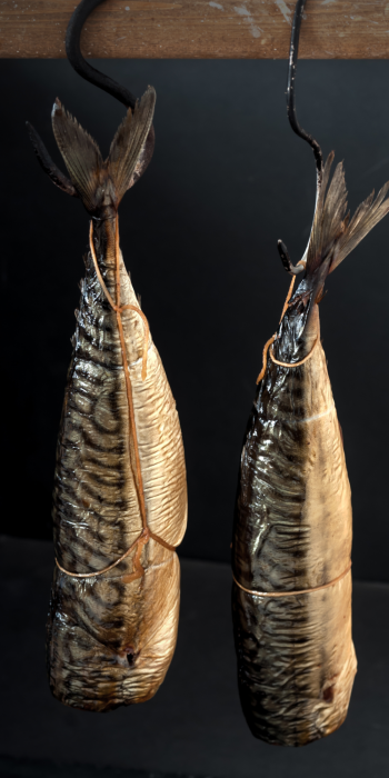 Zonder titel (700 x 1400 mm)